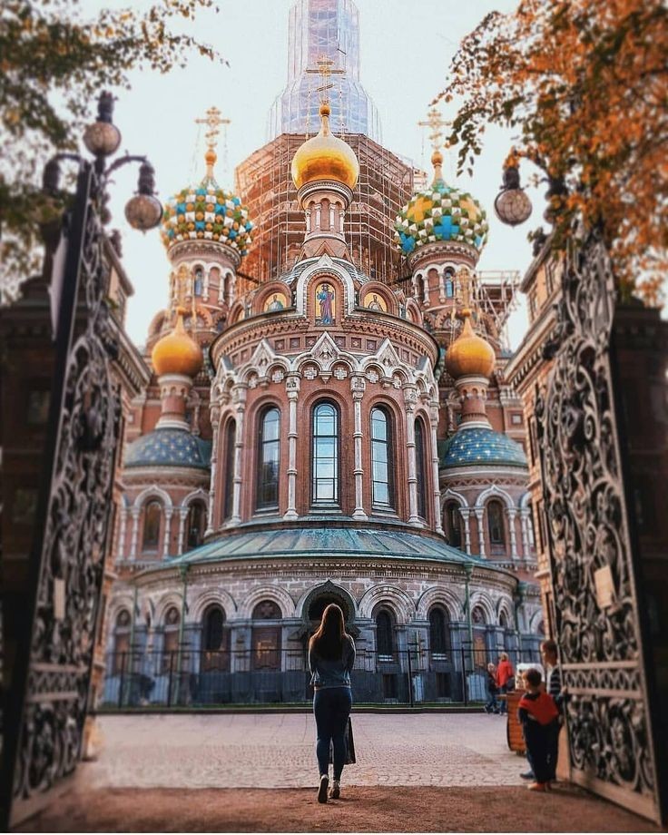 Vera_rus1 tweet picture