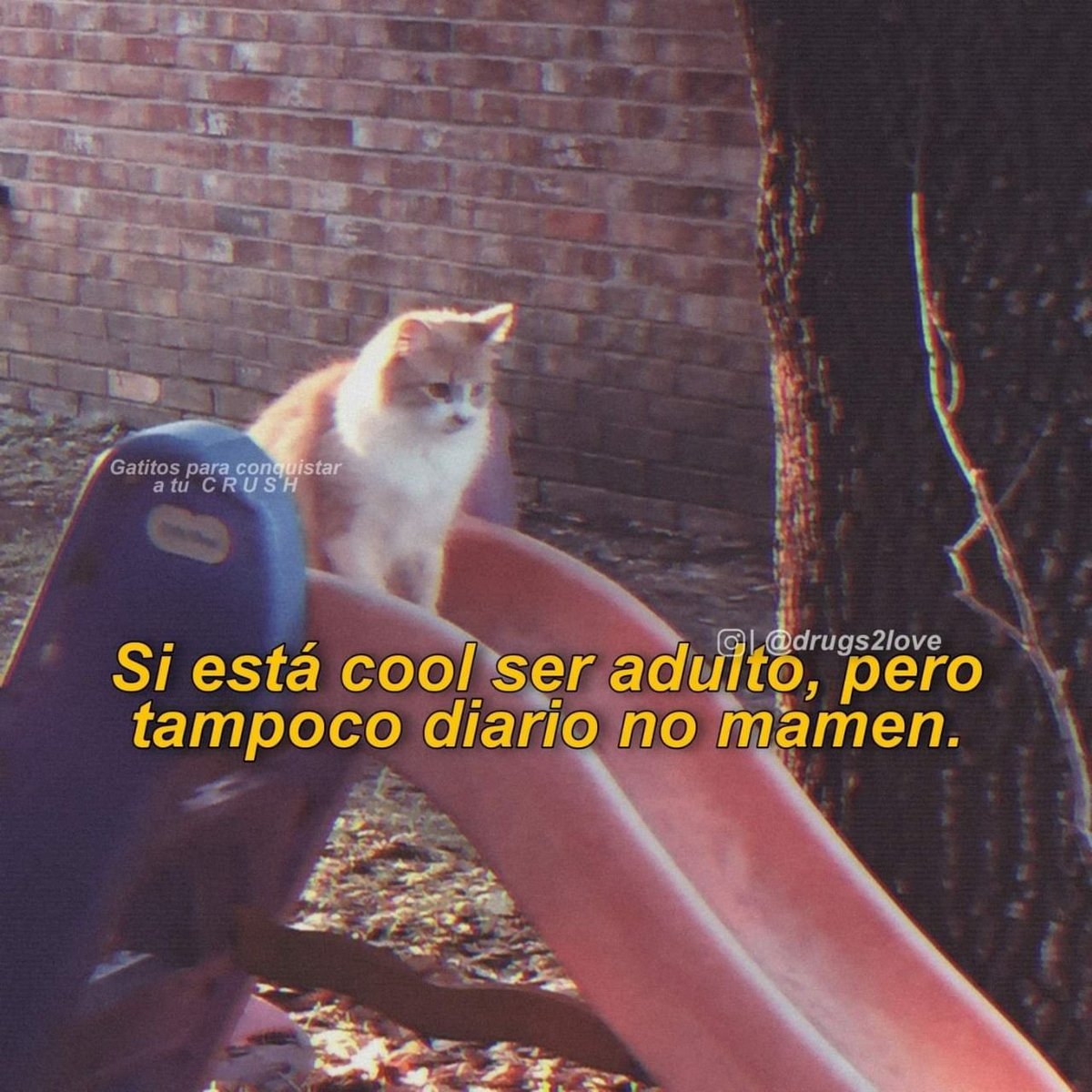 jimena (@jimesoria) on Twitter photo 
