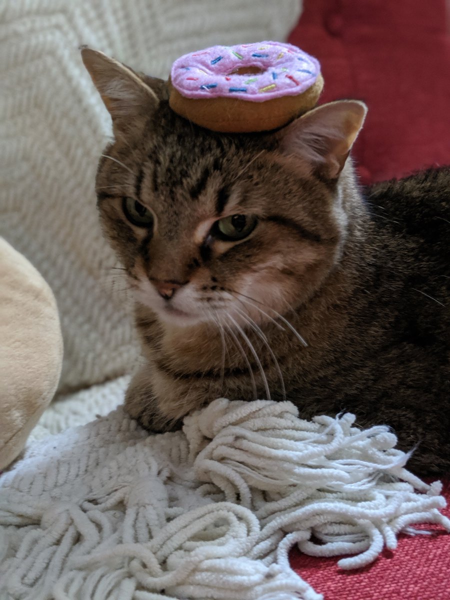 Paul Armstrong tweet media