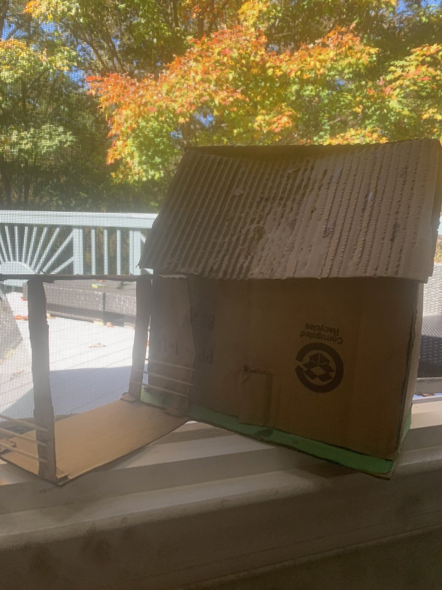 Faith Rodill tweet media