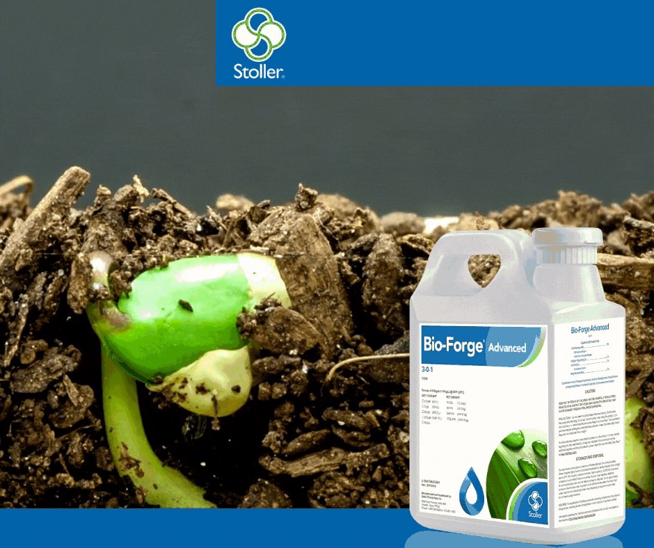 StollerUSA's tweet photo. Protect against abiotic crop stress and support early-season plant health using the Bio-Forge Advanced Seed Treatment. Contact your Stoller representative for more information.

https://t.co/WEr04zCMOy https://t.co/vqKFV93zIW