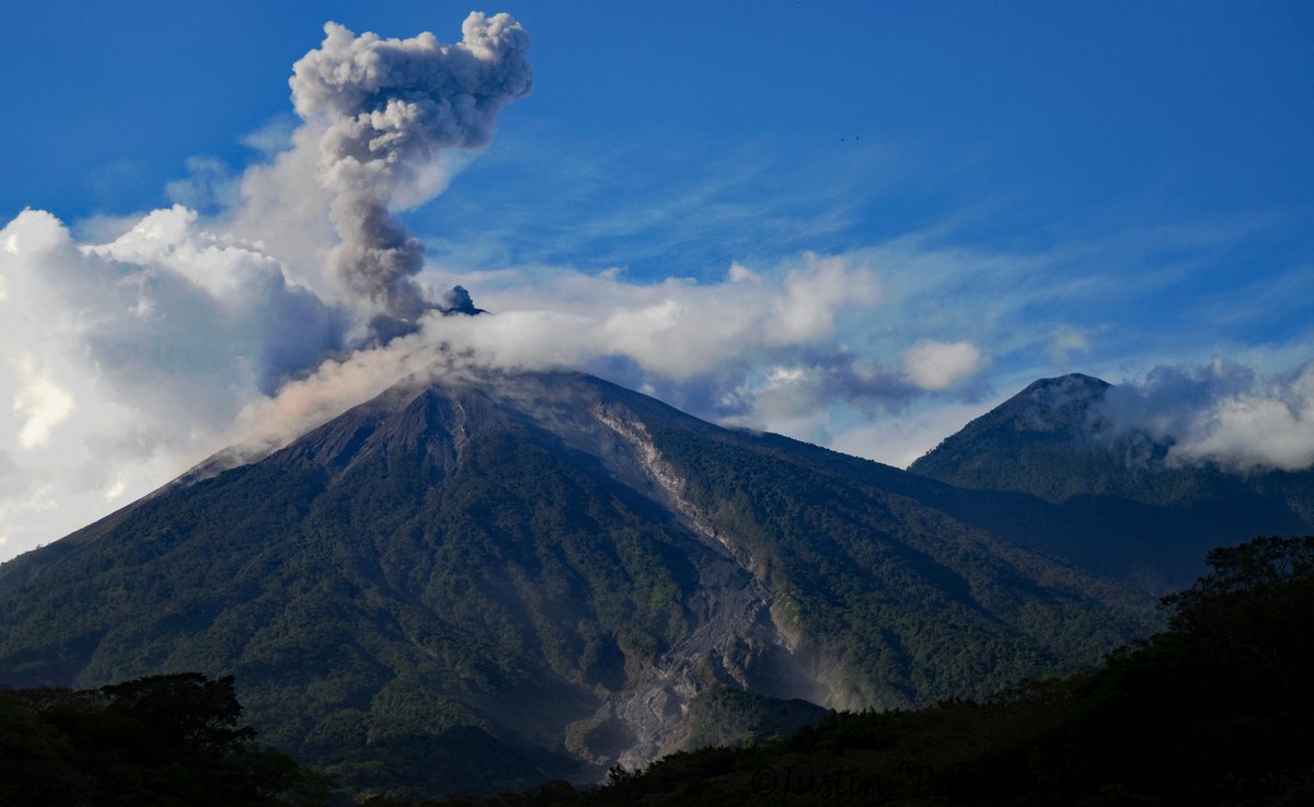 Justin Boot ∞ tweet media