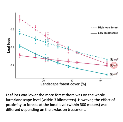 DempseyAlberta's tweet photo. My overview of a study done by Felipe Librán-Embid, Greet de Coster, and Jean Paul Metzger on how forest cover on Brazillian coffee farms affects birds and bats ability to control pests as an #EcosystemService in #Agroecology. #pbiowriting @PBIOWriting https://t.co/ayibYtdPOm