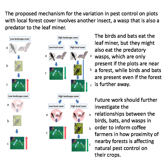 DempseyAlberta's tweet photo. My overview of a study done by Felipe Librán-Embid, Greet de Coster, and Jean Paul Metzger on how forest cover on Brazillian coffee farms affects birds and bats ability to control pests as an #EcosystemService in #Agroecology. #pbiowriting @PBIOWriting https://t.co/ayibYtdPOm