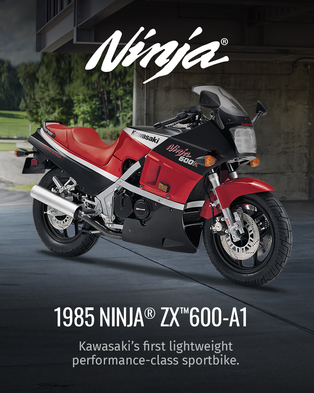 1985 2024 ninja 600