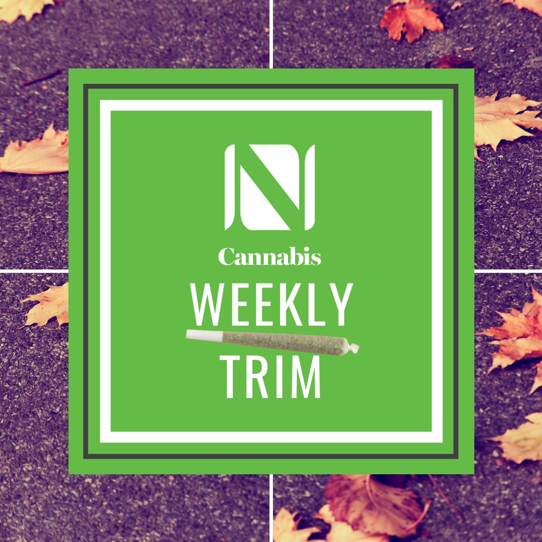 NCannab's tweet photo. They're ready to go when you are!
#PreRolls 

 Check out https://t.co/BYpgy0iskM for the Oct 14-20 #WeeklyTrim details.

#NeighbourhoodCannabis #OntarioCannabis #BlazeOn https://t.co/4UVYT5IPY9