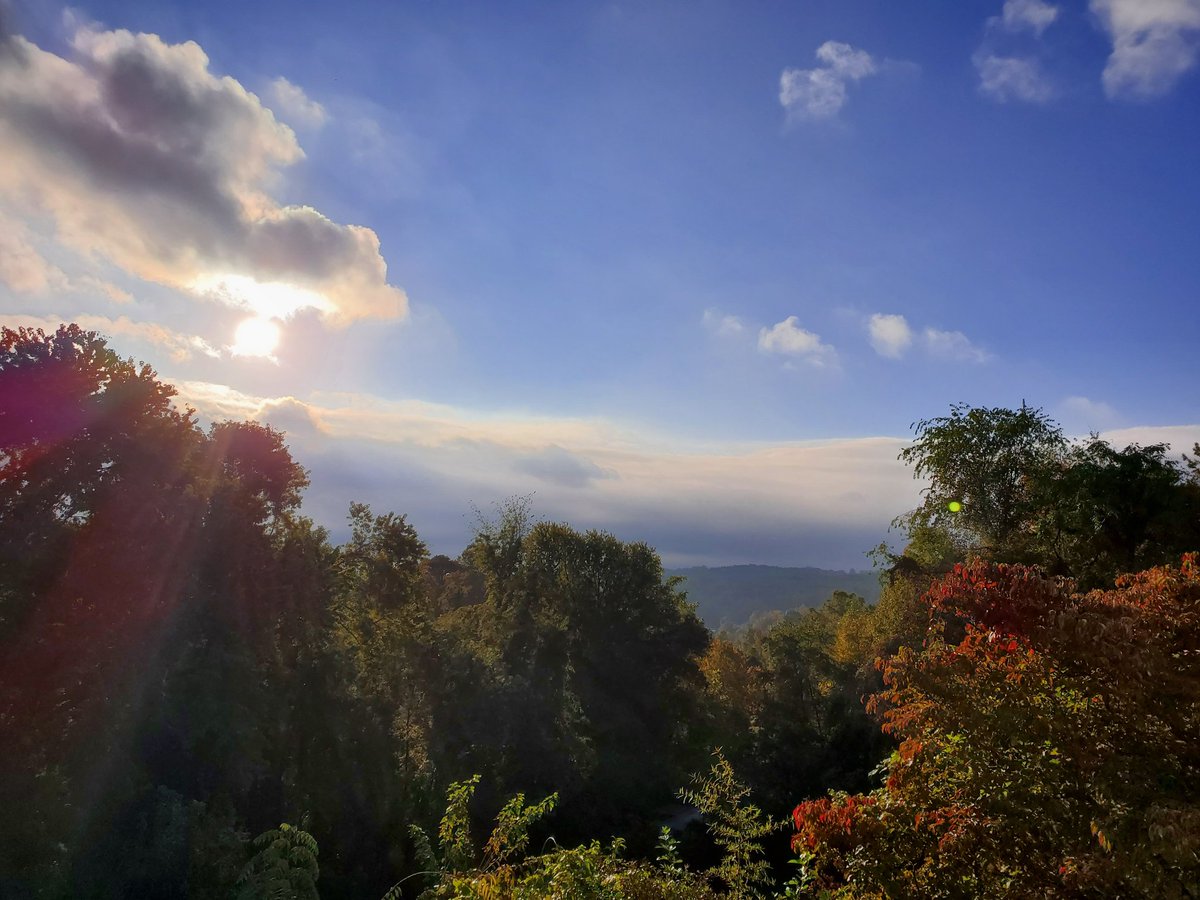 Er87Si10Ea11's tweet photo. Nothing more gorgeous than a crisp fall sunrise. Took these stunning pictures off my back porch! #sunrise #fall #autumn #foggy #sunny #stuartva #virginia #photooftheday #mountains #home #photography #morning #morningvibes #thursday #nofilter #ameuterphotographer #thinksocial https://t.co/2cWJRj9byA