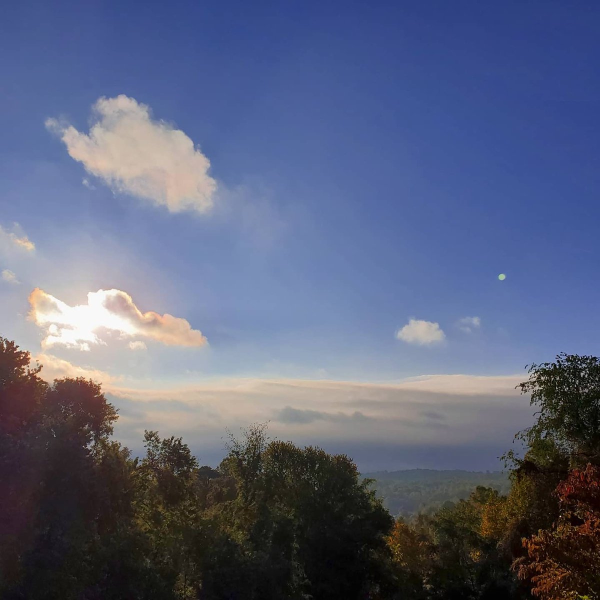 Er87Si10Ea11's tweet photo. Nothing more gorgeous than a crisp fall sunrise. Took these stunning pictures off my back porch! #sunrise #fall #autumn #foggy #sunny #stuartva #virginia #photooftheday #mountains #home #photography #morning #morningvibes #thursday #nofilter #ameuterphotographer #thinksocial https://t.co/2cWJRj9byA