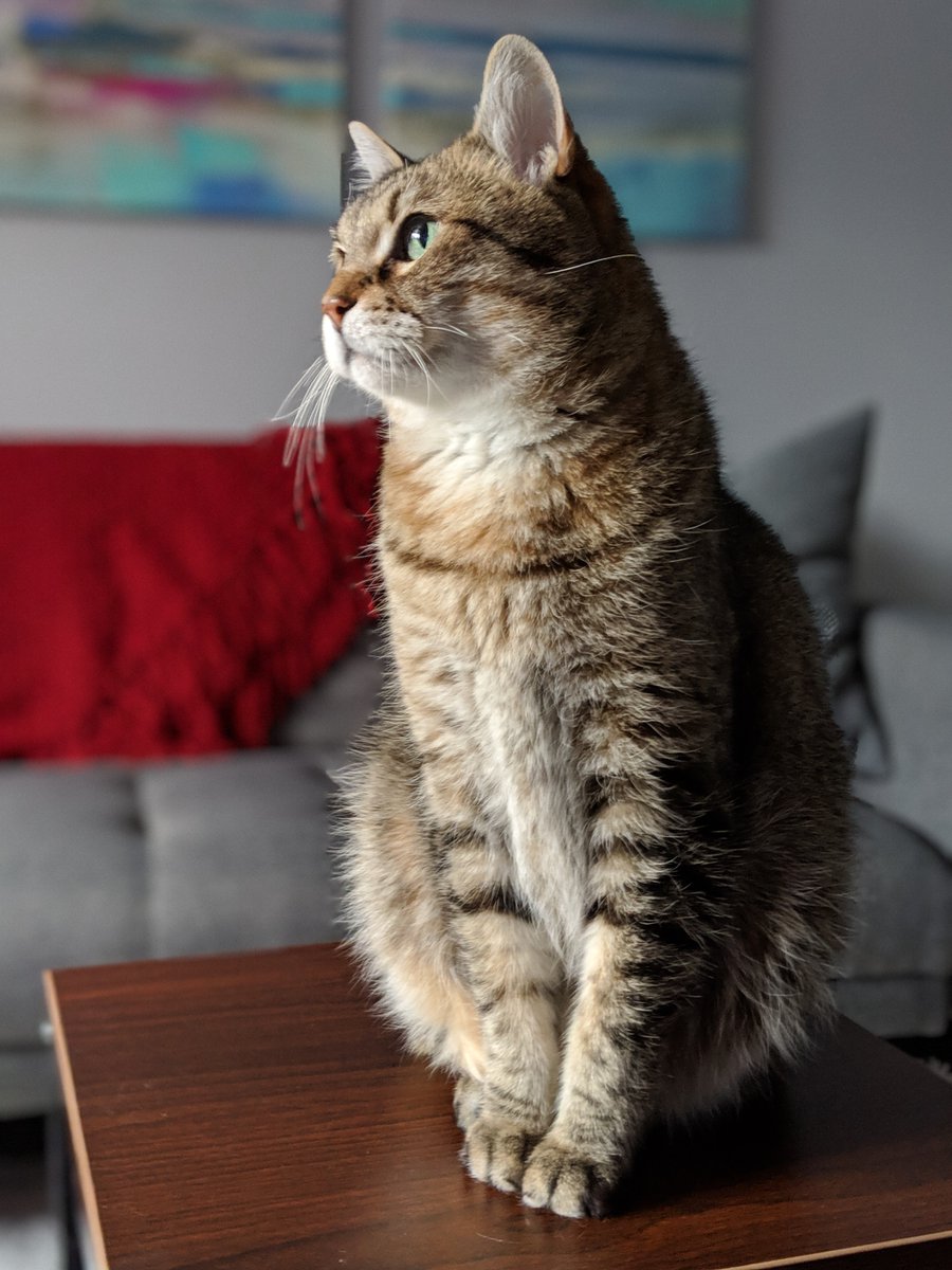 Paul Armstrong tweet media