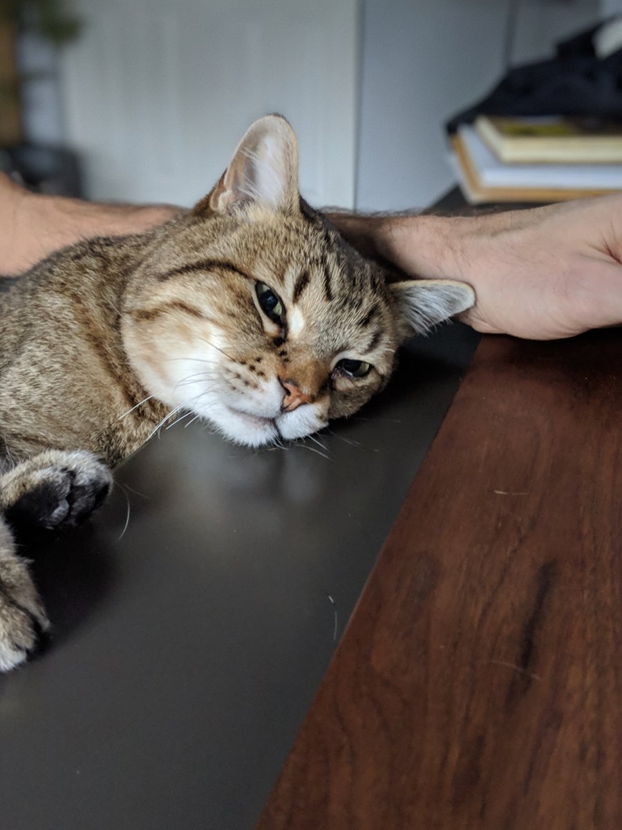 Paul Armstrong tweet media