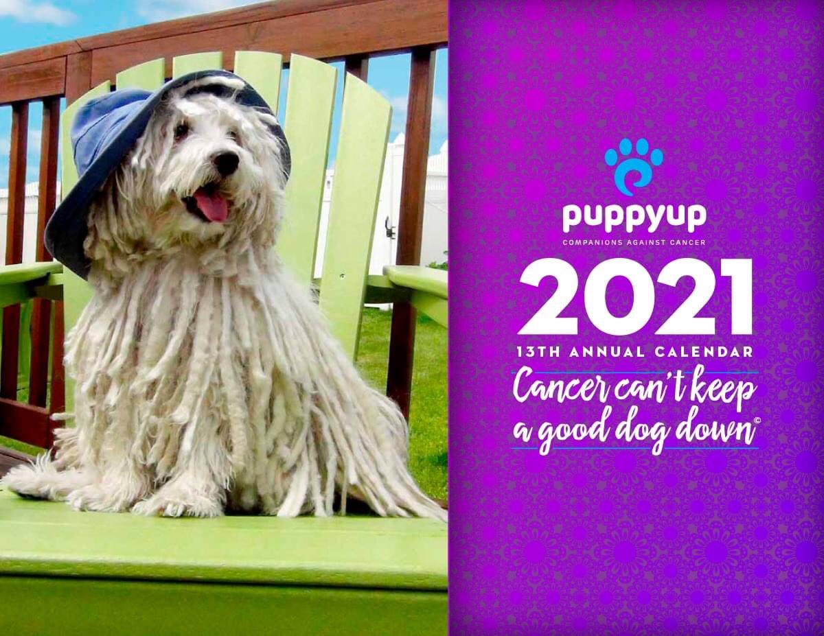 Pre-sales open for the 2021 Cancer Can't Keep a Good Dog Down" Calendar! By placing your order now, you will be guaranteed to receive your desired quantity. The price is $15 each.  If you wish to order 10+ at one time, contact ginger@puppyup.org.  Order at puppyup.org