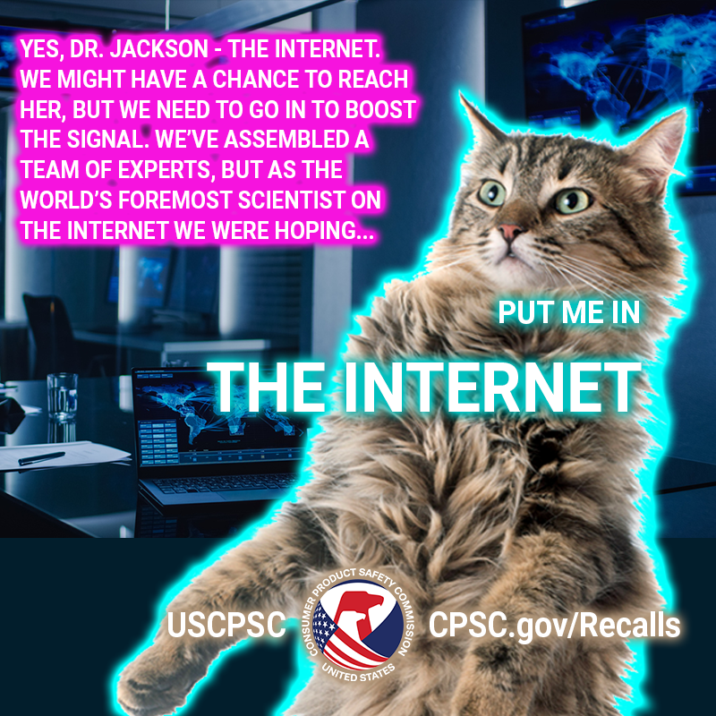 A cat named Dr Copernicus Jackson in a command center. The text reads: Yes, Dr Jackson - The Internet. We might have a chance to reach her, but we need to go in to boost the signal. We've assembled a team of experts, but as the world's foremost scientist on the internet we were hoping... Put me in the internet.