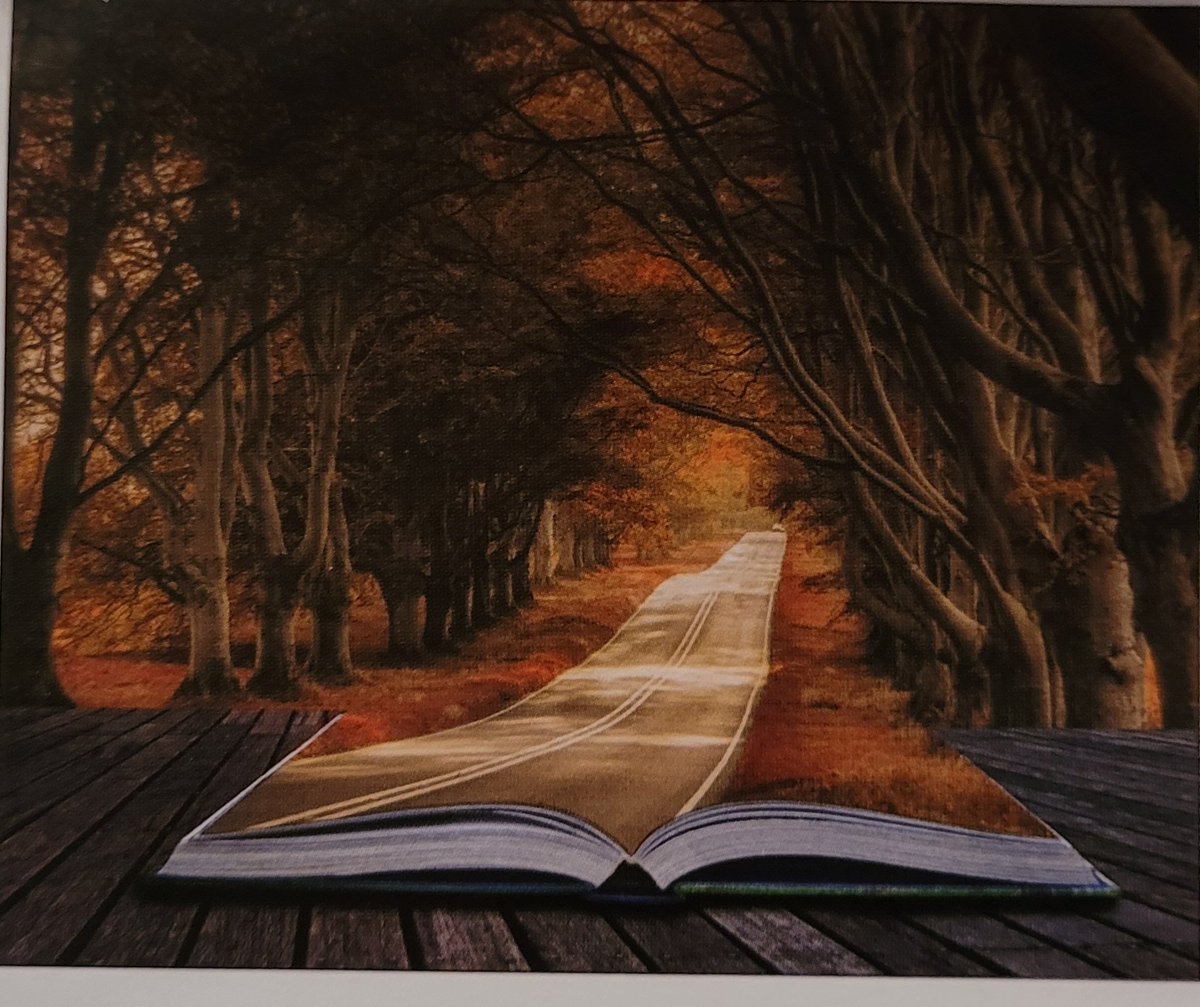 StaceyC2721's tweet photo. Love this picture!!! #Books https://t.co/Vq0ffoX4HH