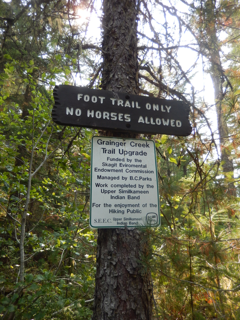 Hiker_Steve's tweet photo. For the enjoyment of the Hiking Public. THANK YOU.
Manning Park, BC
#beautifulbc #explorebc #britishcolumbia #hellobc #bc #vancouvercanada #travelbc #vancouverbc #explorecanada #sharebc #outdoorvancouver #604now #westcoastbestcoast
#Vancouvertrails https://t.co/UEIOP26h5c