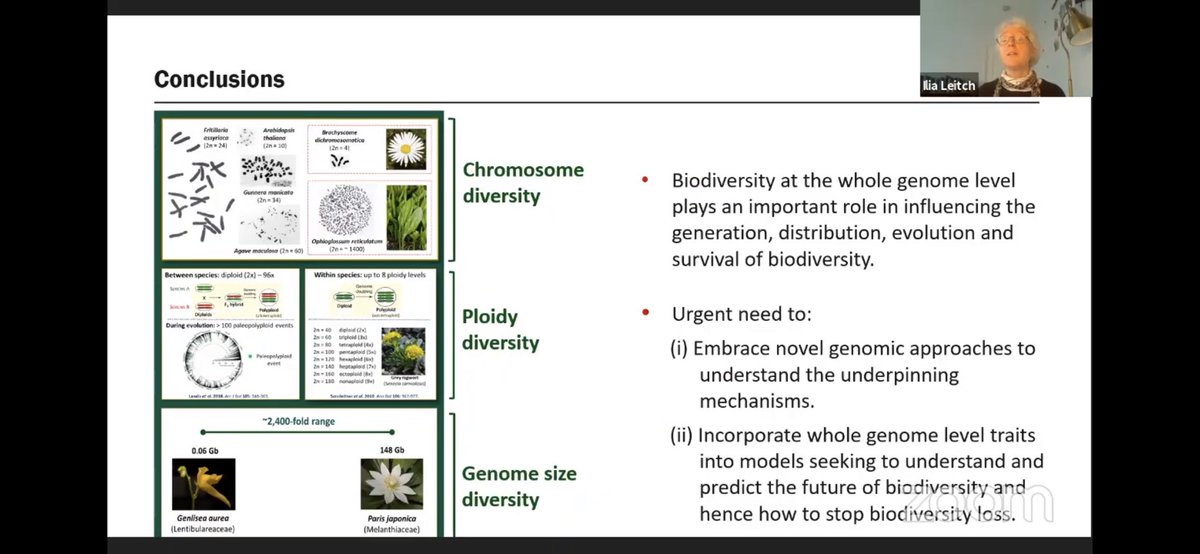 Better late than never... very insightful and inspiring conclusions by ⁦<a href="/IliaLeitch/">Ilia Leitch</a>⁩ yestertday at #SOTWPF ⁦@KewScience⁩