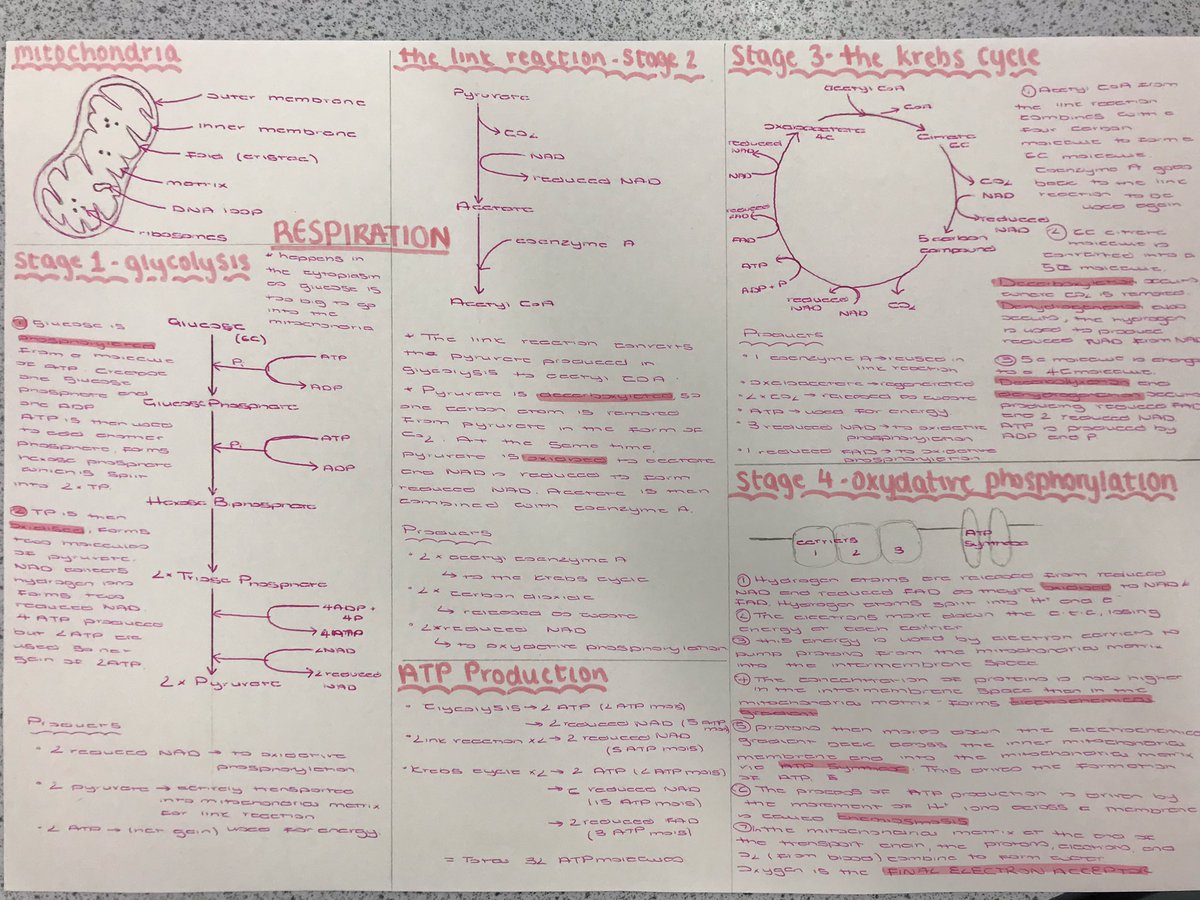 HessleScience's tweet photo. Great work by Y13 on aerobic respiration this morning. https://t.co/bVUcyepxmR