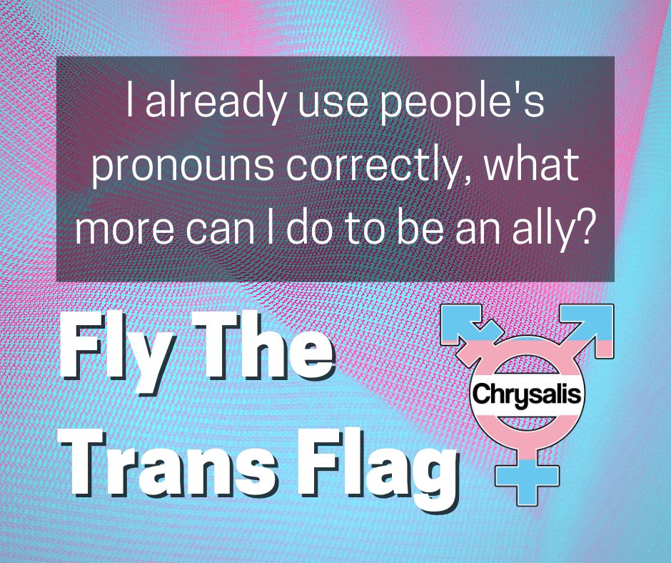 BeyondReflectUK's tweet photo. If you make the effort to use people's pronouns correctly, we thank you. You are the type of person we need to Fly The Trans Flag this year. You're showing the world that you are safe, inclusive, approachable.
https://t.co/qpDe65GAt9
#Divserity #Inclusion #LGBTQIA https://t.co/irpd2ldrJE