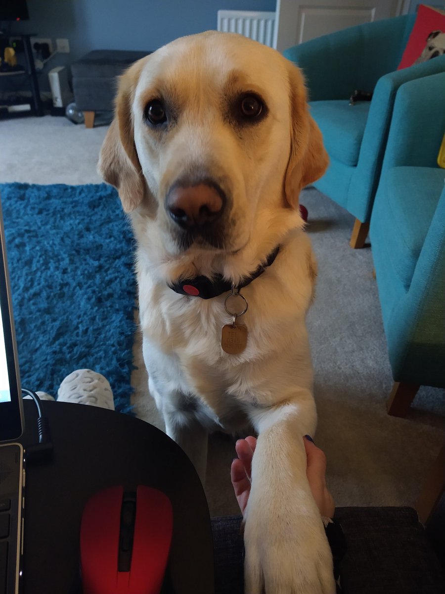 Vicky Chapman AssocCIPD tweet media