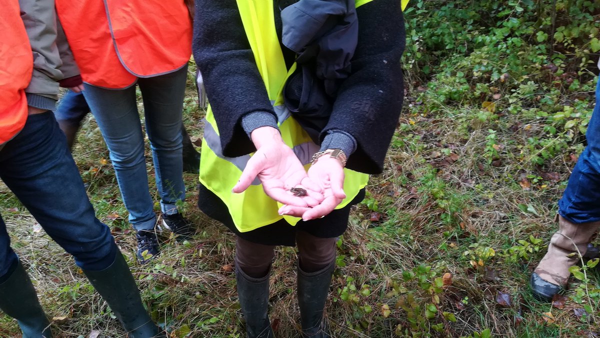 URCPIEOccitanie's tweet photo. Journée de formation "Carrières et biodiversité" du réseau #CPIE Occitanie avec @UnicemOccitanie entreprises engagées : temoignages, retours d'expérience et visite de terrain https://t.co/ZCroJ3SeCr