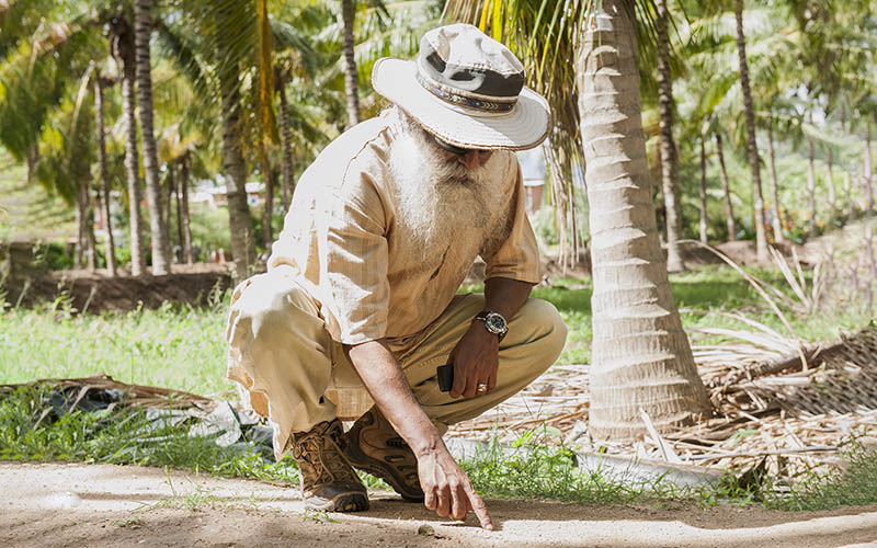 ishafoundation's tweet photo. The natural food cycle is sustainable only if we take care of the soil. Water and biodiversity are a Consequence of Rich Soil. #SadhguruQuotes #WorldFoodDay https://t.co/UizqC6S7T3