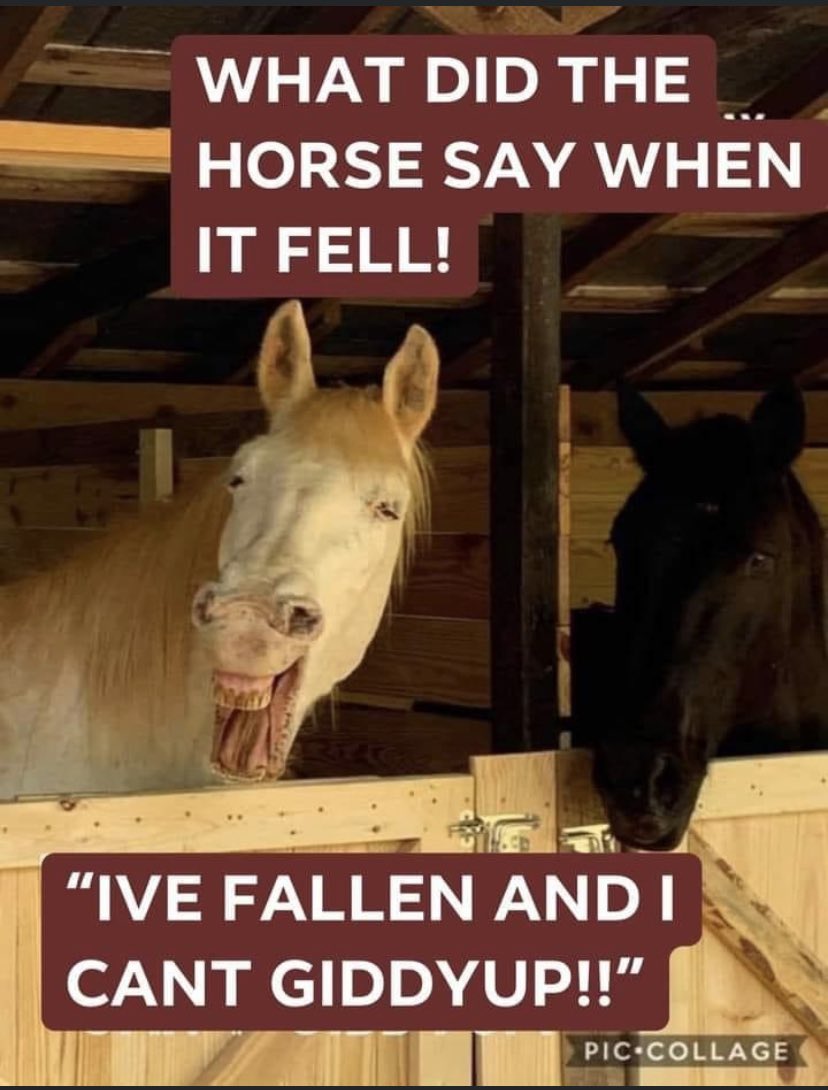 Mike Dittloff (@mikeditt) on Twitter photo 