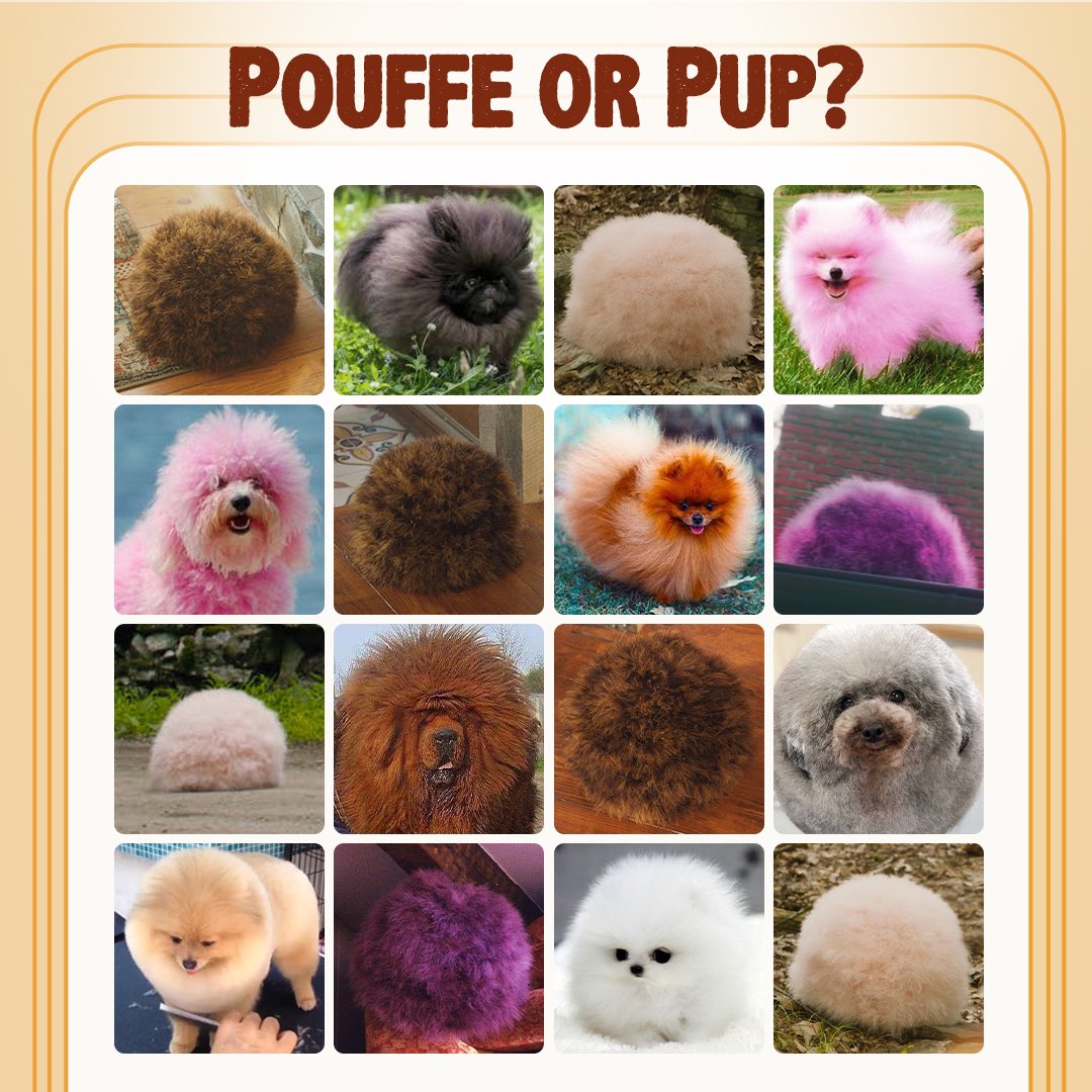 Save Yourselves! tweet media