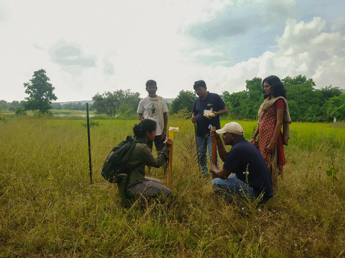WCT_India's tweet photo. #WCT is using an innovative combination of solar-powered #foxlights, traditional fencing methods, and camera traps to understand the interaction between wild herbivores and crops, and to deter them from raiding crop fields in #Maharashtra. https://t.co/D1rKVinrbn