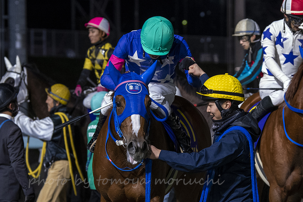 エーデルワイス賞 Twitter Search Twitter