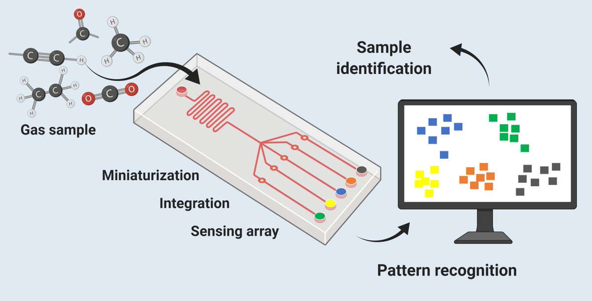 Check out our latest review on Microfluidics in Gas Sensing: Miniaturization and Integration Towards Rapid and In-Situ Artificial Olfaction 📰 published in <a href="/Sensors_MDPI/">Sensors MDPI</a> 👉 bit.ly/3nX7h3E
#sensing #sensors #microfluidics #SCENT_project <a href="/ERC_Research/">European Research Council (ERC)</a> <a href="/MDPIOpenAccess/">MDPI</a>