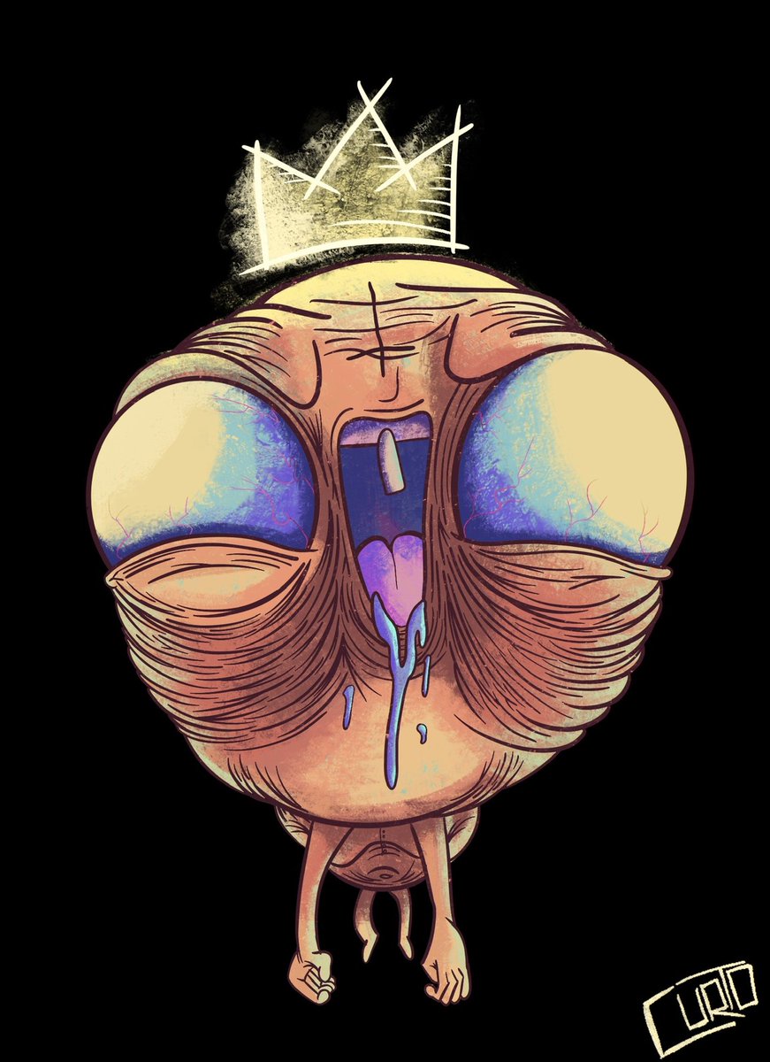 Curtocooper tweet media