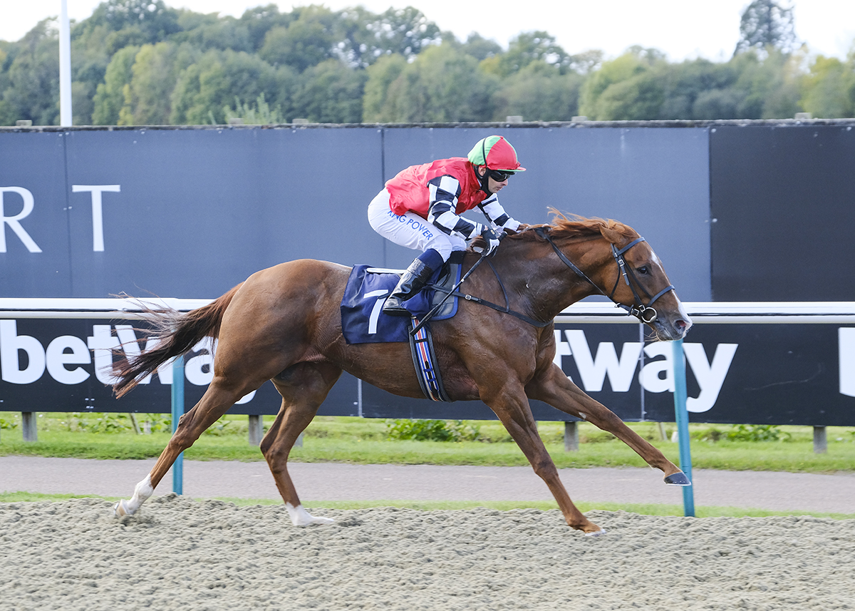 RACE 3 RESULT - Read Andrew Balding On <a href="/betway/">betway</a> Insider Handicap

🥇 Prince Rock
🥈 Passing Nod
🥉 Chocco Star

Jockey: <a href="/SilvDSousa/">Silvestre de Sousa</a> 

Trainer: <a href="/SimonDowRacing/">Simon Dow</a> 

Owners: Mark McAllister

📸 @JH_photographer