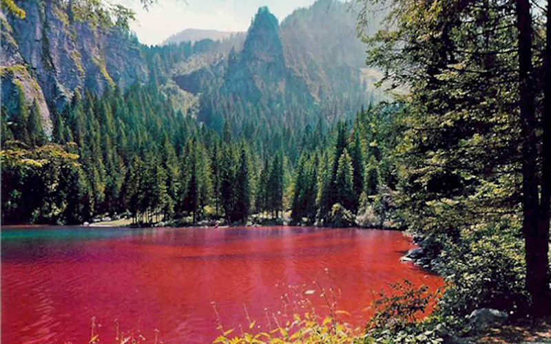 #ZEcuriosidades: Al norte de Italia, el Lago de Tovel,  posee una característica especial, aunque parece un lago normal, durante la primavera, sus aguas se tiñen de un rojo intenso que contrasta con el verde de la vegetación a su alrededor.