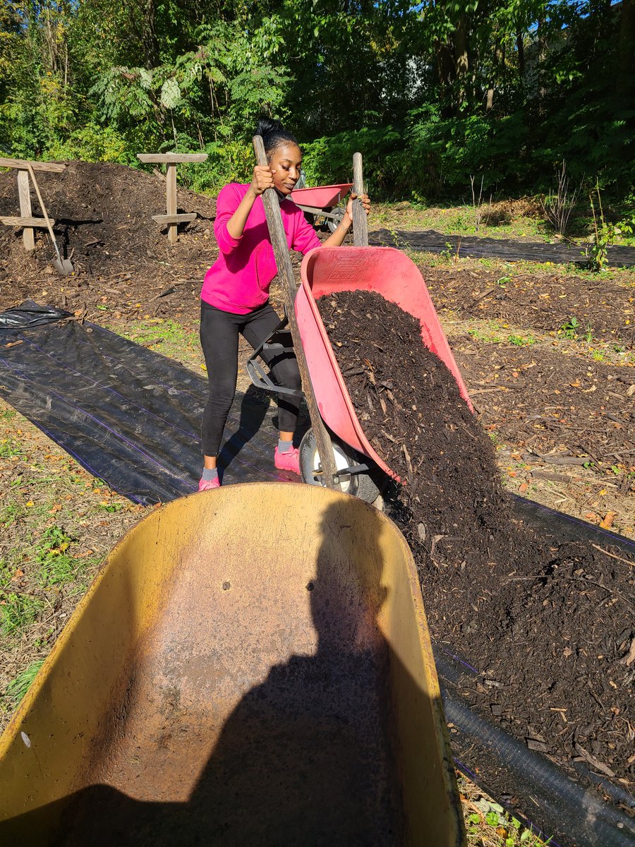 YouthBuildPHL's tweet photo. This week, students participated in various service projects throughout #Philly. Shout out to #Classof2021 for installing new pathways in berry gardens at @bartramsgarden and packaging groceries and Halloween goody bags at @philly.bebashi for families in need support. #YBWay! https://t.co/MvsDSizskh