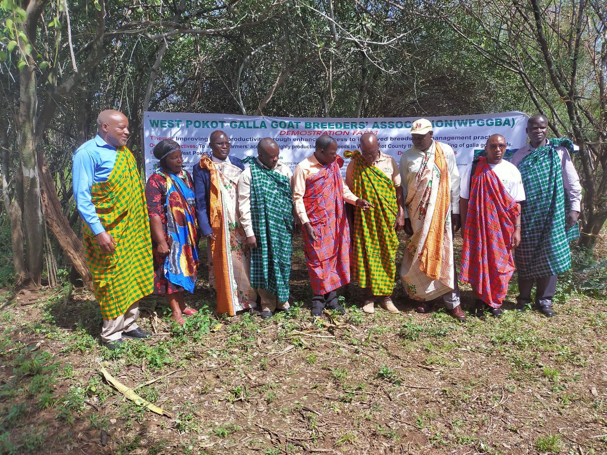 West Pokot Galla Goat Breeders Association-WPPGBA (@wppgba) on Twitter photo 