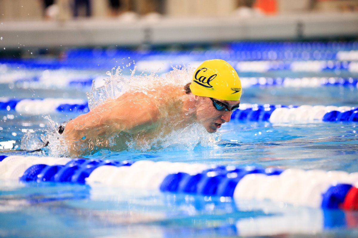 cal_swimdive's tweet photo. The grind doesn’t stop. 😤 https://t.co/ph9ZQVXocL