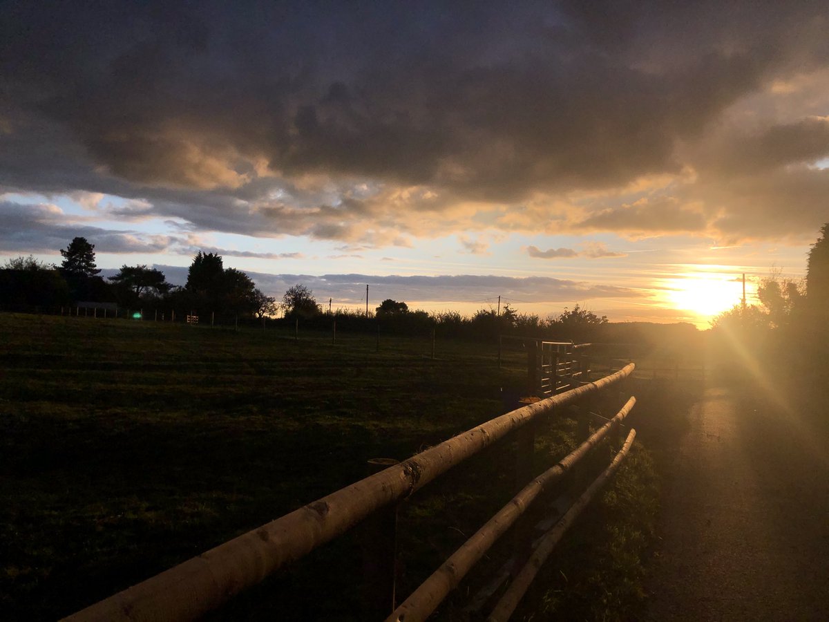 Mark Tate tweet media