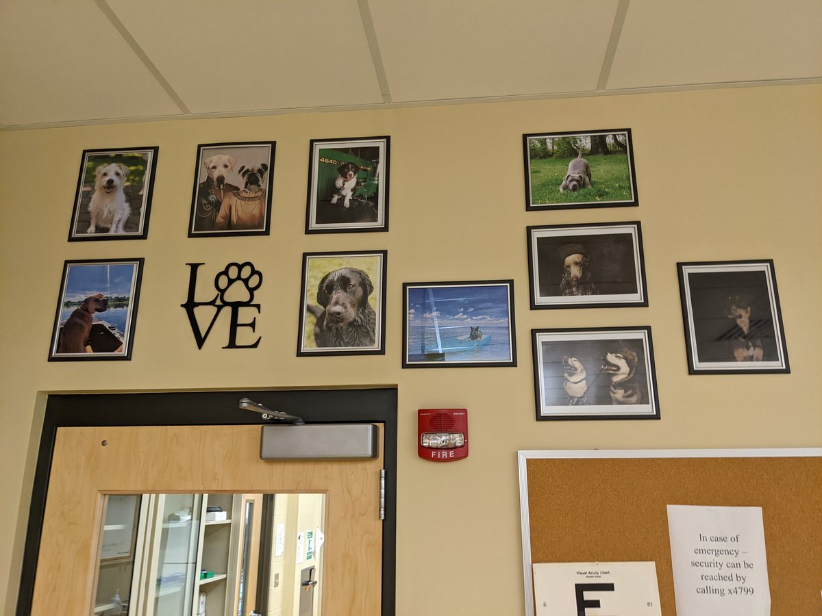 Findlay Biology tweet media