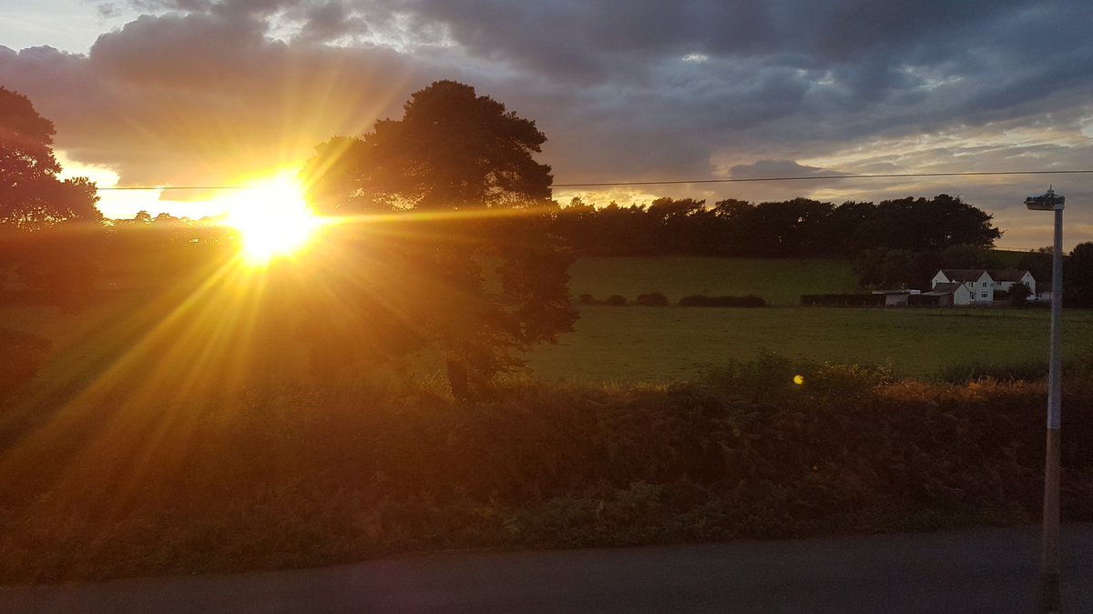 ClentVwRdField's tweet photo. Beautiful evening on #clentviewroad 

#savestourbridgegreenbelt #stourbridge #norton #communitygreenspace #romanroad @MarkBinnersley https://t.co/gtk8JQ1YoU