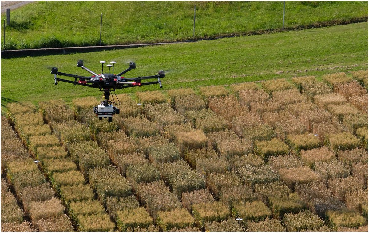 PNASNews's tweet photo. Researchers harness artificial intelligence to breed crops for the changing climate. In PNAS Front Matter: https://t.co/0MD4jDcPHa #AI #agriculture #ClimateChange https://t.co/q73bE4oCm7