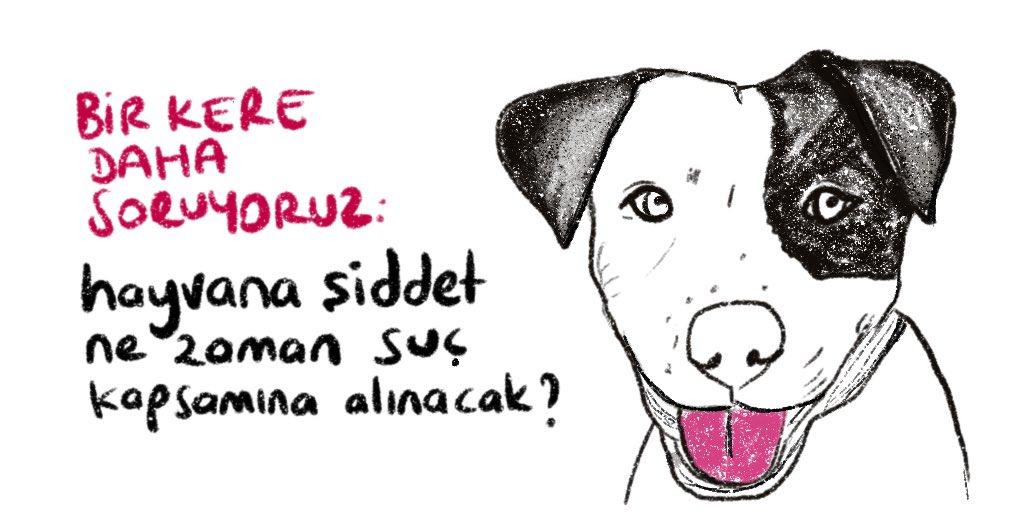 Bir kere daha soruyoruz: Hayvana şiddet ne zaman suç kapsamına alınacak?

#HayvanYasasiHemenCiksin