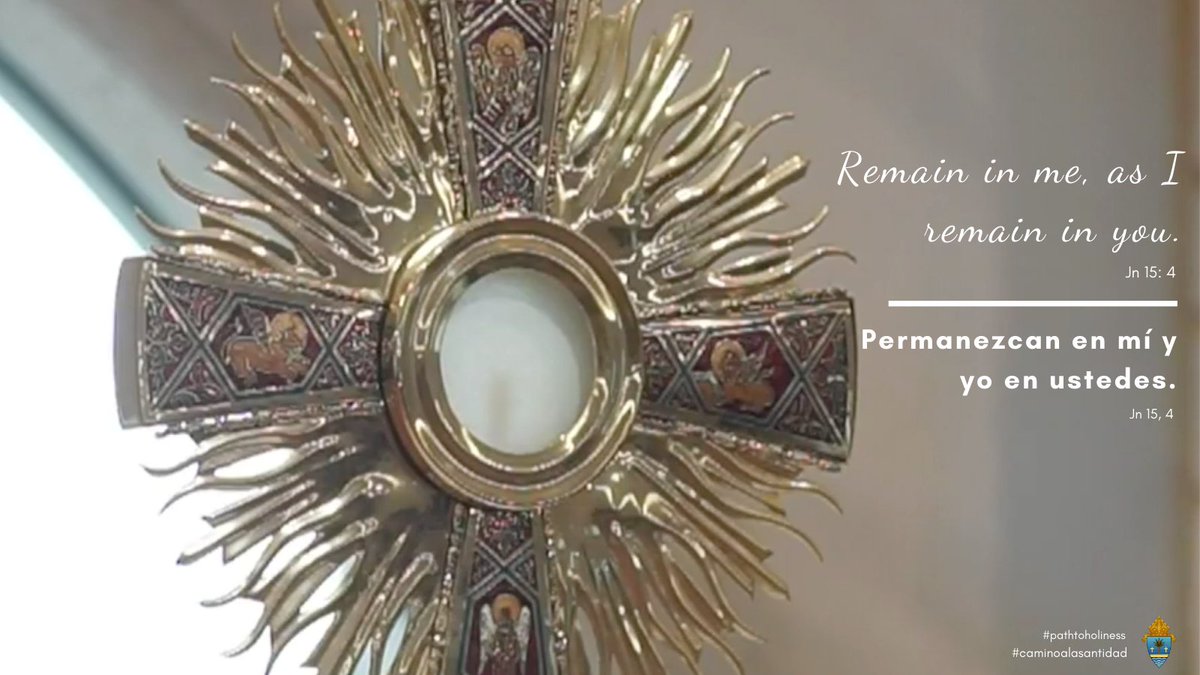 CatholicMiami's tweet photo. Only His love remains when all else ceases to exist. #pathtoholiness #CatholicTwitter 

We invite you to pray with and reflect on today's gospel: Jn 15: 1-8 https://t.co/Tsi0te6z4p