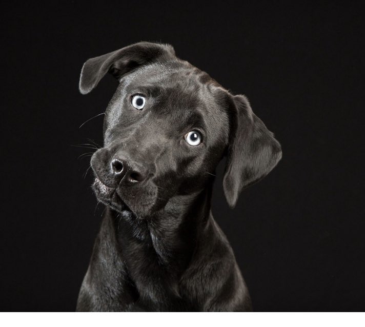 Maff Potts tweet media