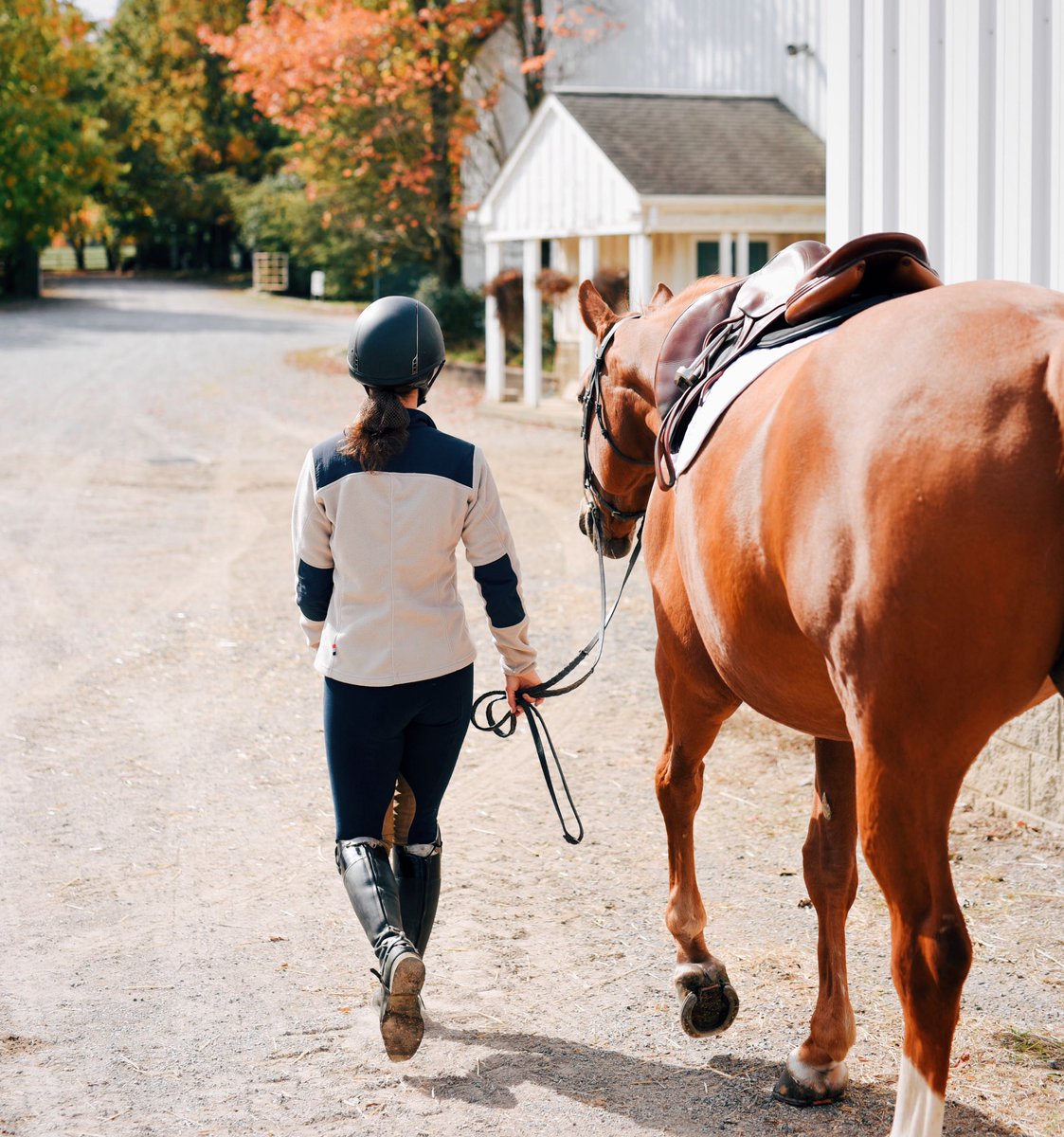 Shop_HuntClub's tweet photo. Fall is definitely the season of the chestnut horse. โจ๐๐ด๐ฐ And bundling up in the Salto Fleece Jacket, of course! #FallVibesOnly
https://t.co/GqBD0JKNfL https://t.co/q66xZwP1FZ