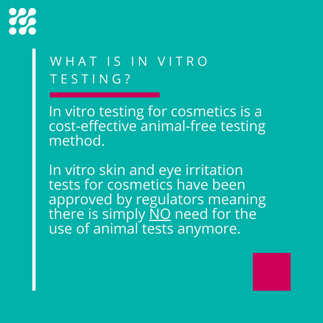XCellR8_labs's tweet image. Do you know what #invitrotesting is? Read our in vitro testing 101 to find out more! 🤓