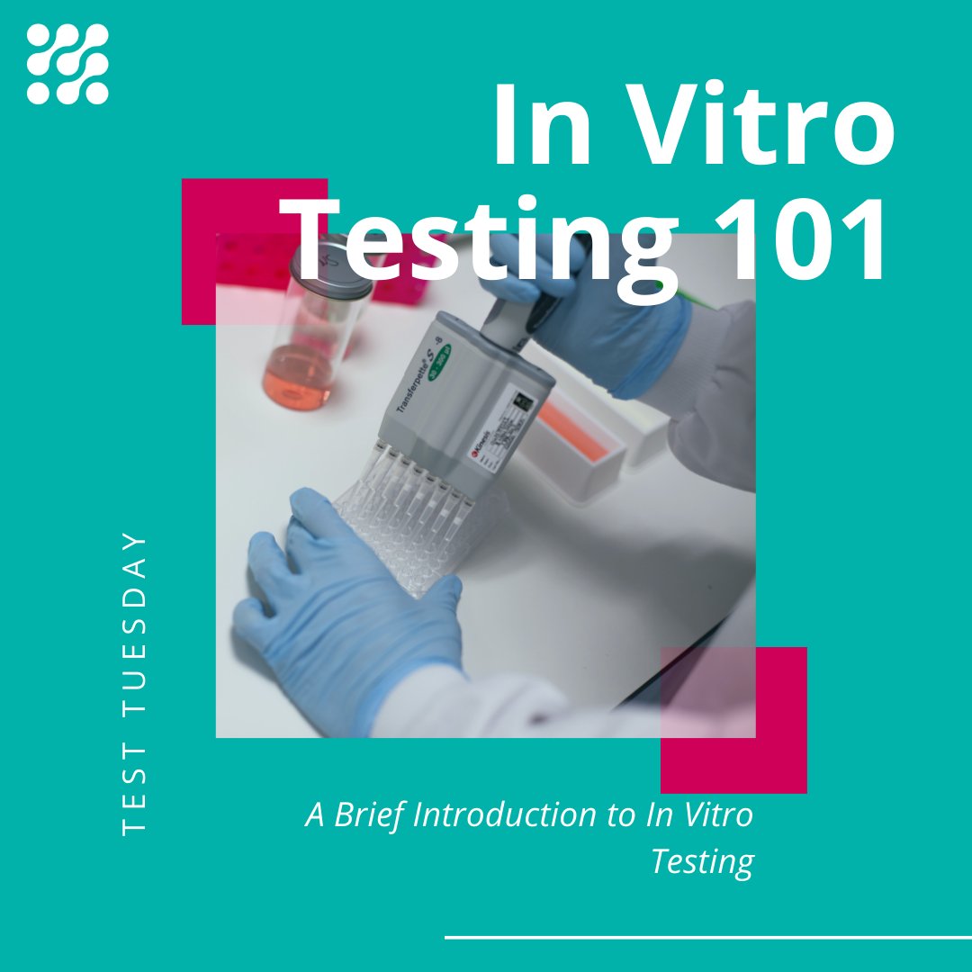 XCellR8_labs's tweet image. Do you know what #invitrotesting is? Read our in vitro testing 101 to find out more! 🤓