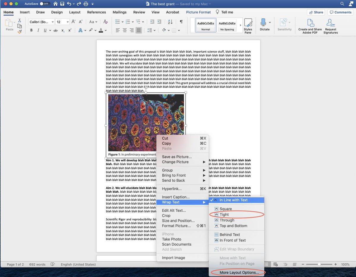 InnaSmalley's tweet photo. To anchor a figure in text so it never moves and you can stop raging at your computer this grant season: 

Paste figure-> Right click, Wrap text, select “Tight” then “More layout options”, go to position tab-> Unclick "move object with text", click "lock anchor"
#ScienceTwitter https://t.co/zEY3i2iSO5