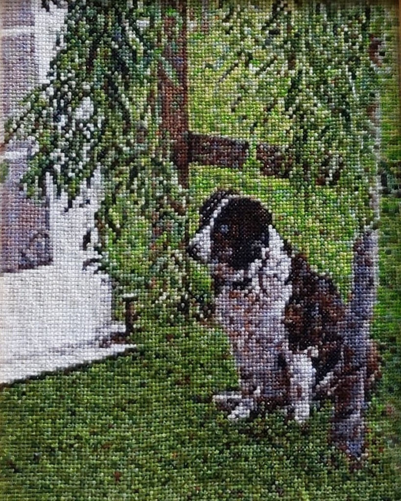 ccxstitch's tweet photo. Rosie under the willow tree - August 2016

#crossstiching #crossstitchlove #crossstitch #crossstitcher #crossstitchland #crossstitchersofinstagram #sewingprojects #sewing #bordercolliesoftheworld #bordercollie #bordercolliesofinstagram #merlebordercollie… https://t.co/j4yRhPWZRP https://t.co/QryKavtijA