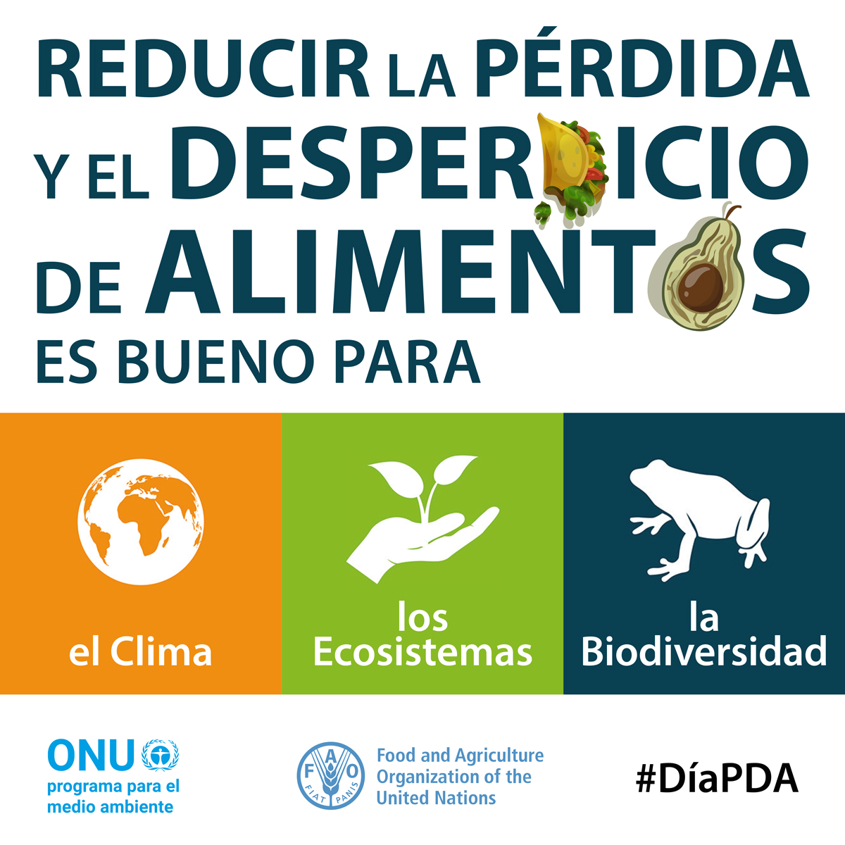 unep_espanol's tweet photo. Reducir la pérdida y el desperdicio de alimentos significa: 
✅ Menos uso de tierras agrícolas
✅ Menos gasto de agua
✅ Menos fertilizantes
✅ Menos emisiones

Celebra este 16 de octubre el #DíaMundialDeLaAlimentación tomando acciones para sacar máximo provecho a tus comidas. https://t.co/Iy6Irqc7fr