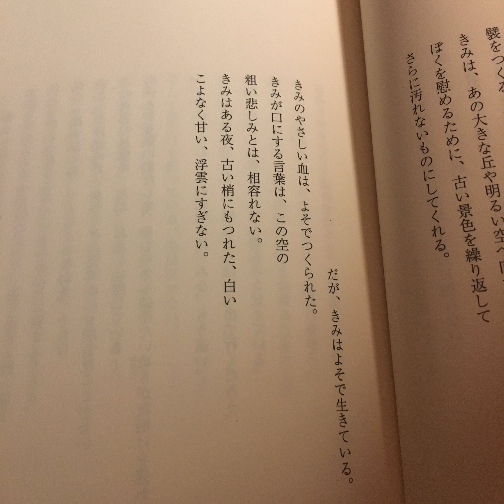 ぞしま だが きみはよそで生きている きみのやさしい血は よそでつくられた きみが口にする言葉は この空の 粗い悲しみとは 相容れない きみはある夜 古い梢にもつれた 白い こよなく甘い 浮雲にすぎない C パヴェーゼ 働き疲れて 夜想