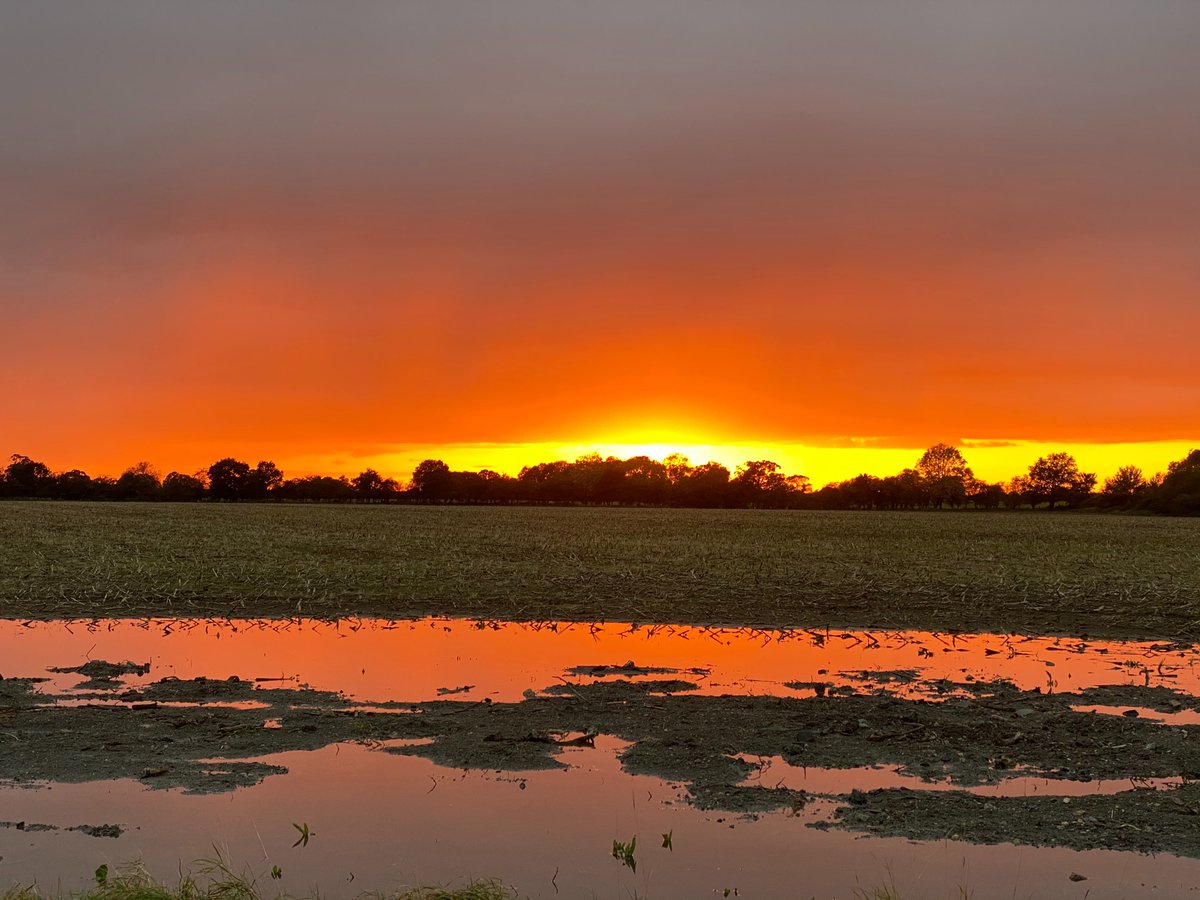 VirtualAstro's tweet photo. Sunset this evening. https://t.co/PTlstI0nlo